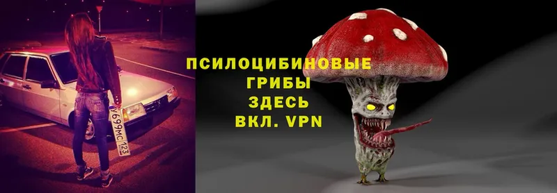 блэк спрут вход  Верещагино  Псилоцибиновые грибы Psilocybine cubensis  сколько стоит 